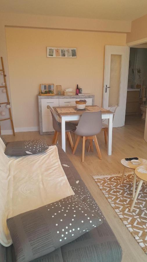 Châteauroux : bel appartement avec balcon Exterior foto